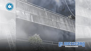 Mujer se niega a evacuar sin sus mascotas en incendio Mujer se niega a evacuar sin sus mascotas en incendio