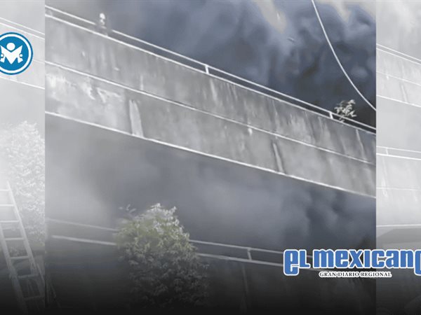 Mujer se niega a evacuar sin sus mascotas en incendio