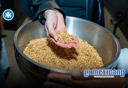 Rechazarán a adultos mayores de 65 años al renovar licencia de conducir Rechazarán a adultos mayores de 65 años al renovar licencia de conducir