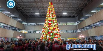 Tijuana enciende su árbol navideño 2025 en Palacio Municipal Tijuana enciende su árbol navideño 2025 en Palacio Municipal