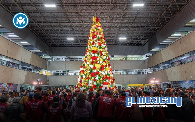 Tijuana enciende su árbol navideño 2025 en Palacio Municipal Tijuana enciende su árbol navideño 2025 en Palacio Municipal