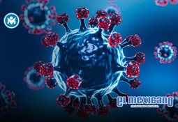 COUC rechaza propuesta de compra masiva de granos del Frente Nacional y advierte riesgos financieros COUC rechaza propuesta de compra masiva de granos del Frente Nacional y advierte riesgos financieros