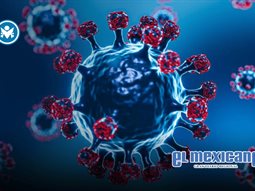 México confirma primer caso de influenza A H3N2 subclado K, la súper gripe México confirma primer caso de influenza A H3N2 subclado K, la súper gripe