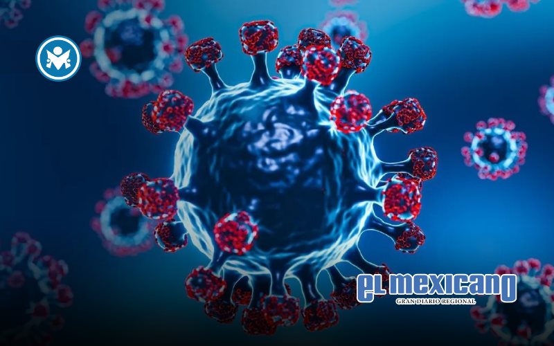 México confirma primer caso de influenza A H3N2 subclado K, la súper gripe México confirma primer caso de influenza A H3N2 subclado K, la súper gripe