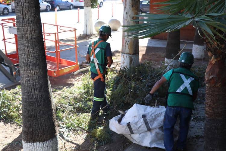 imagen-cuerpo imagen-cuerpo