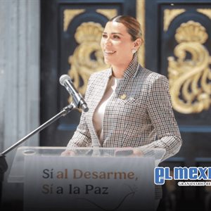 Destacan respuesta ciudadana a la campa&ntilde;a "S&iacute; al Desarme, S&iacute; a la Paz" en Baja California