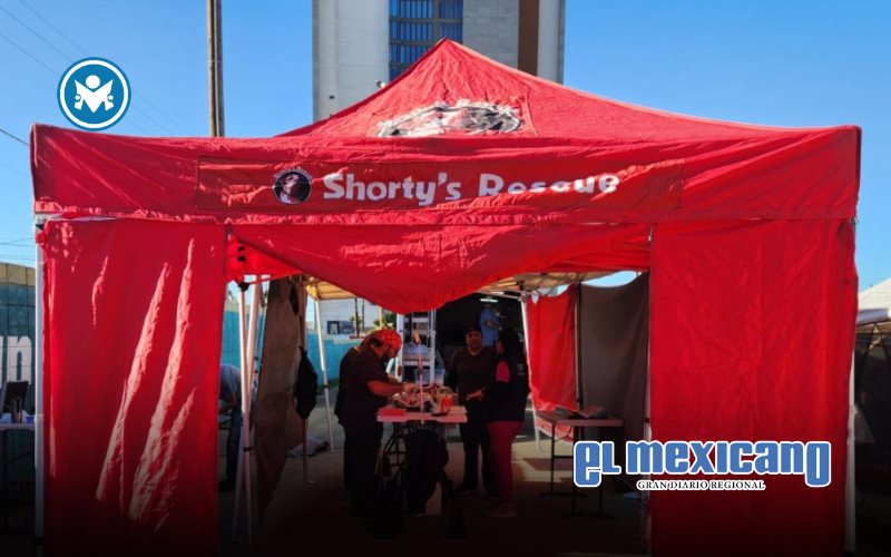 Gobierno municipal cierra 2025 con exitosa jornada gratuita de esterilización de mascotas Gobierno municipal cierra 2025 con exitosa jornada gratuita de esterilización de mascotas