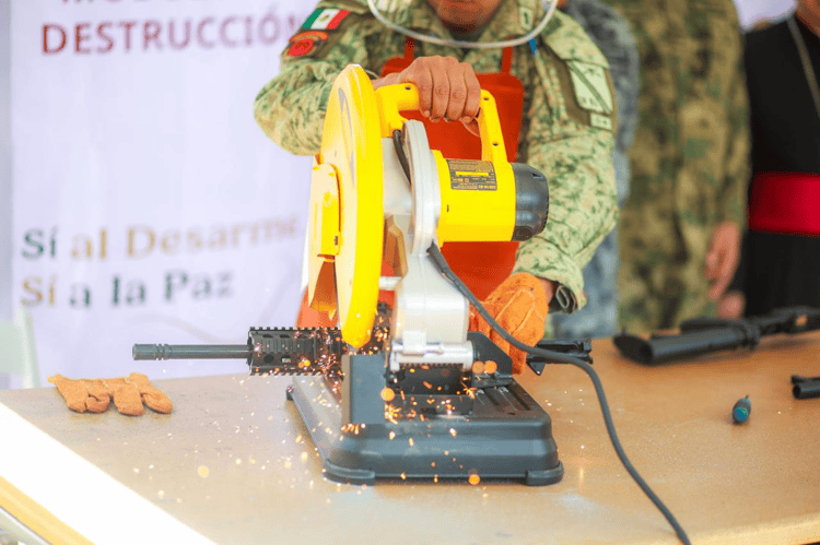 imagen-cuerpo imagen-cuerpo