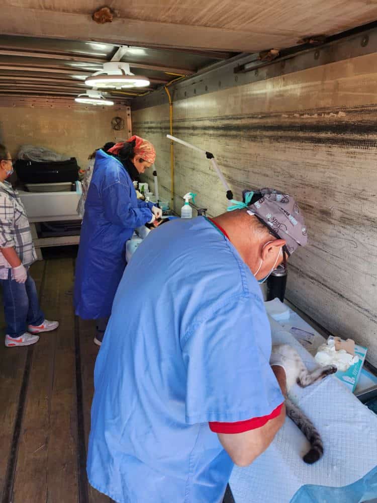 imagen-cuerpo imagen-cuerpo