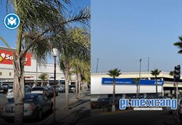 Profeco activa atención a pasajeros por demoras y cancelaciones en aeropuerto Profeco activa atención a pasajeros por demoras y cancelaciones en aeropuerto