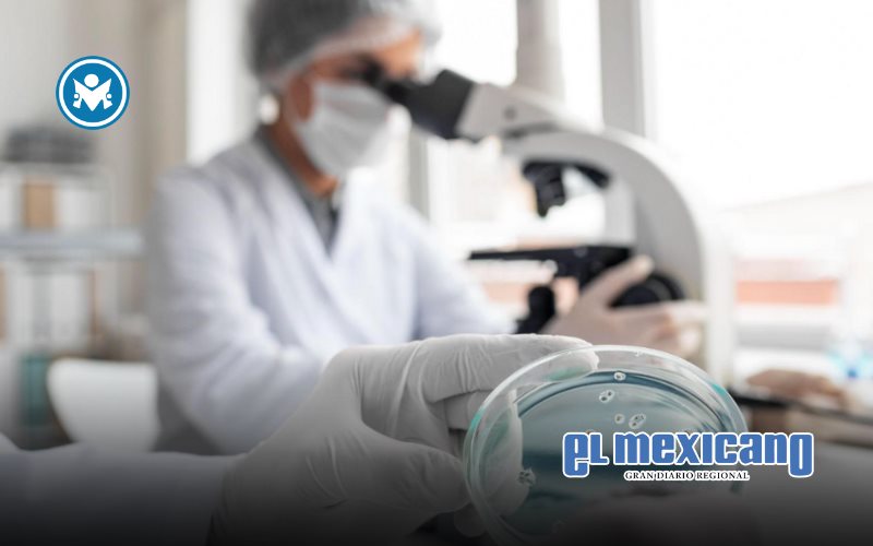 Detectar a tiempo para tratar mejor: así se acelera la ruta contra el cáncer Detectar a tiempo para tratar mejor: así se acelera la ruta contra el cáncer