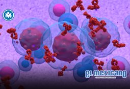 Polémica en Tecámac: Alcaldesa entrega cargos estratégicos a priistas y panistas Polémica en Tecámac: Alcaldesa entrega cargos estratégicos a priistas y panistas