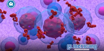 Johnson & Johnson presenta resultados prometedores de nuevo tratamiento para mieloma m&uacute;ltiple