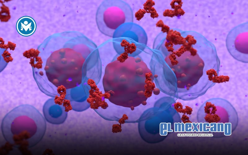 Johnson & Johnson presenta resultados prometedores de nuevo tratamiento para mieloma múltiple Johnson & Johnson presenta resultados prometedores de nuevo tratamiento para mieloma múltiple