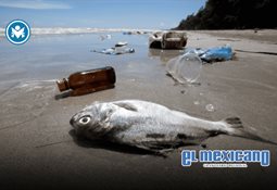 La geograf&iacute;a define el acceso al cr&eacute;dito en M&eacute;xico y revela oportunidades de inclusi&oacute;n financiera