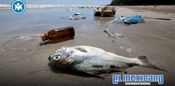 Cofepris alerta que seis playas mexicanas no son aptas para ba&ntilde;istas en vacaciones