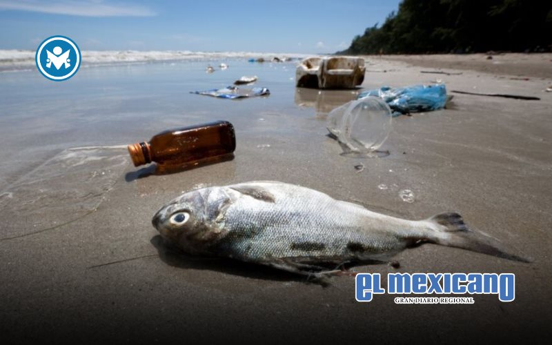 Cofepris alerta que seis playas mexicanas no son aptas para ba&ntilde;istas en vacaciones