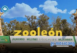 Identifican a abuelita abandonada en carretera de Matamoros