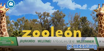 Zool&oacute;gico de Le&oacute;n cierra tras revisi&oacute;n ambiental de Profepa