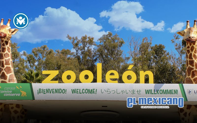 Zool&oacute;gico de Le&oacute;n cierra tras revisi&oacute;n ambiental de Profepa