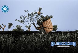 Padres de familia toman la primaria General Mariano Matamoros para exigir pago a maestro sin sueldo Padres de familia toman la primaria General Mariano Matamoros para exigir pago a maestro sin sueldo