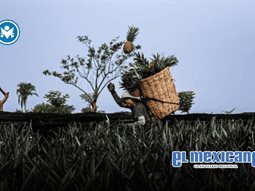 Fot&oacute;grafo tijuanense gana el Premio Nacional M&eacute;xico en una Imagen