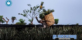 Fotógrafo tijuanense gana el Premio Nacional México en una Imagen Fotógrafo tijuanense gana el Premio Nacional México en una Imagen