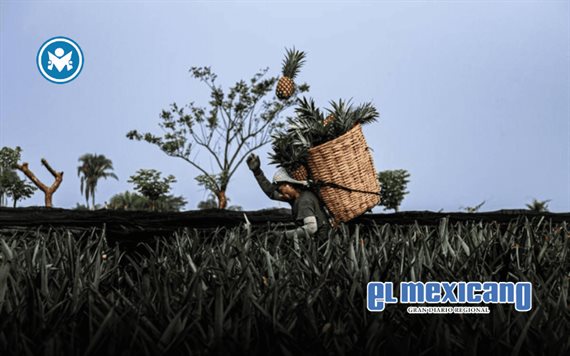 Fotógrafo tijuanense gana el Premio Nacional México en una Imagen Fotógrafo tijuanense gana el Premio Nacional México en una Imagen