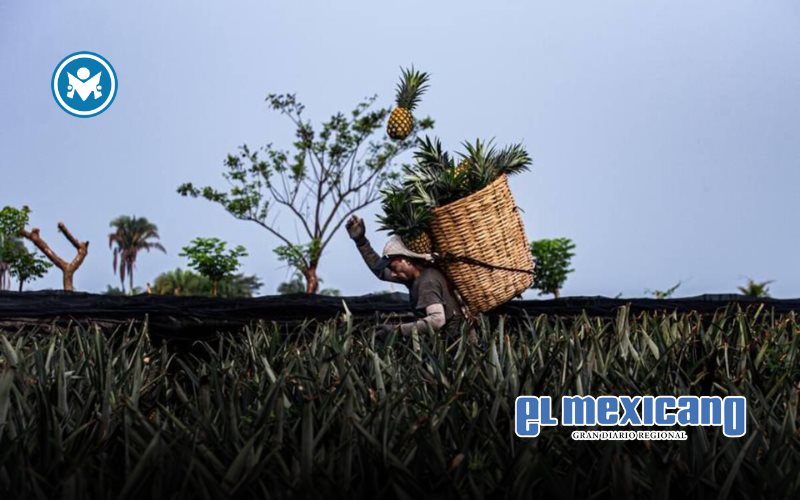 Fotógrafo tijuanense gana el Premio Nacional México en una Imagen Fotógrafo tijuanense gana el Premio Nacional México en una Imagen