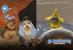 Sigue en vivo el recorrido de Santa Claus esta Navidad 2025 Sigue en vivo el recorrido de Santa Claus esta Navidad 2025