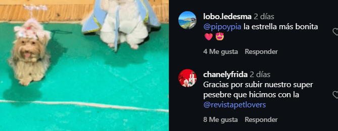 imagen-cuerpo imagen-cuerpo