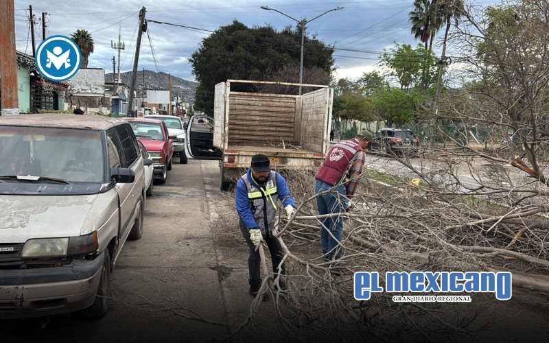 Alerta Gobierno de Ensenada por ráfagas de fuertes vientos Alerta Gobierno de Ensenada por ráfagas de fuertes vientos