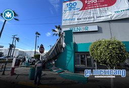 Bollitos y postres desatan largas filas en Costco antes de Navidad