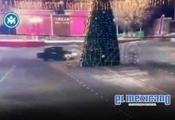 Perrito callejero recibe peluche como regalo de Navidad en Mérida Perrito callejero recibe peluche como regalo de Navidad en Mérida