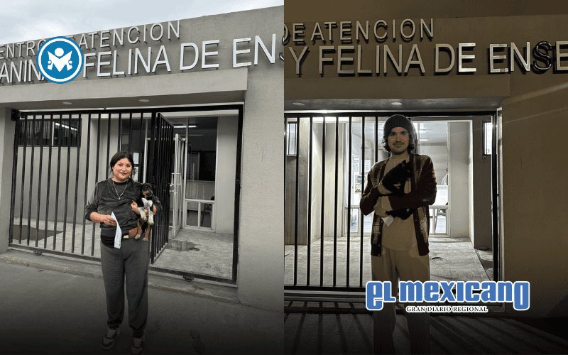 Refuerzan el bienestar animal con servicios veterinarios accesibles