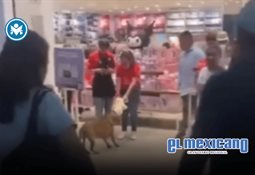 Malcolm el de en medio vuelve tras 20 años: Disney revive la icónica comedia Malcolm el de en medio vuelve tras 20 años: Disney revive la icónica comedia