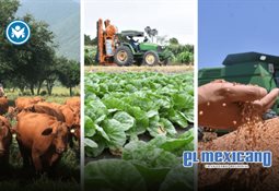 Fallece alcalde de Tepeapulco, Hidalgo, en accidente vehicular