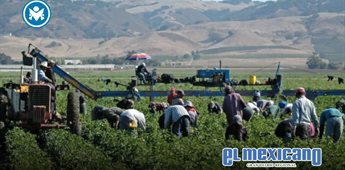 Falta de trabajadores mexicanos golpea sectores clave de EE.UU. y presiona por reforma migratoria