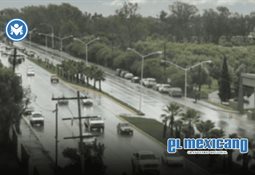 Cuenta IMSS con esquema de afiliaci&oacute;n para personas trabajadoras independientes