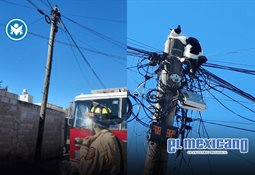 Cuenta IMSS con esquema de afiliaci&oacute;n para personas trabajadoras independientes