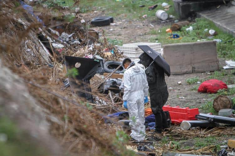 imagen-cuerpo imagen-cuerpo