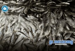 Ofrecen hasta 12% de descuento en el predial 2026