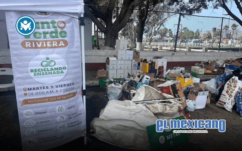 Logra Punto Verde m&aacute;s de 100 mil kilos recolectados: Claudia Agat&oacute;n
