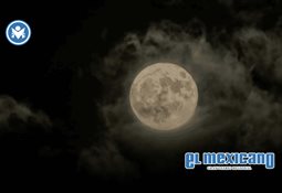 2026: El año en que la IA reescribe las reglas de las redes empresariales 2026: El año en que la IA reescribe las reglas de las redes empresariales