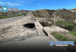Gobierno de Ensenada habilita centros de acopio de &aacute;rboles navide&ntilde;os