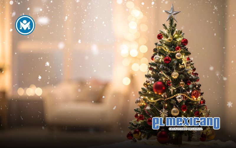 Gobierno de Ensenada habilita centros de acopio de &aacute;rboles navide&ntilde;os