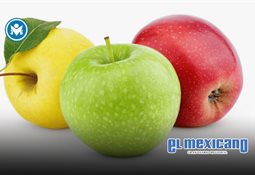 En 2025 fueron asesinados 348 polic&iacute;as, un incremento del 9% respecto a 2024: Causa en Com&uacute;n