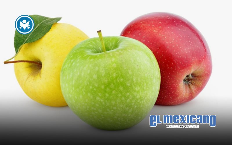 5 razones para hacer de las manzanas tus aliadas para una alimentación saludable este 2026 5 razones para hacer de las manzanas tus aliadas para una alimentación saludable este 2026