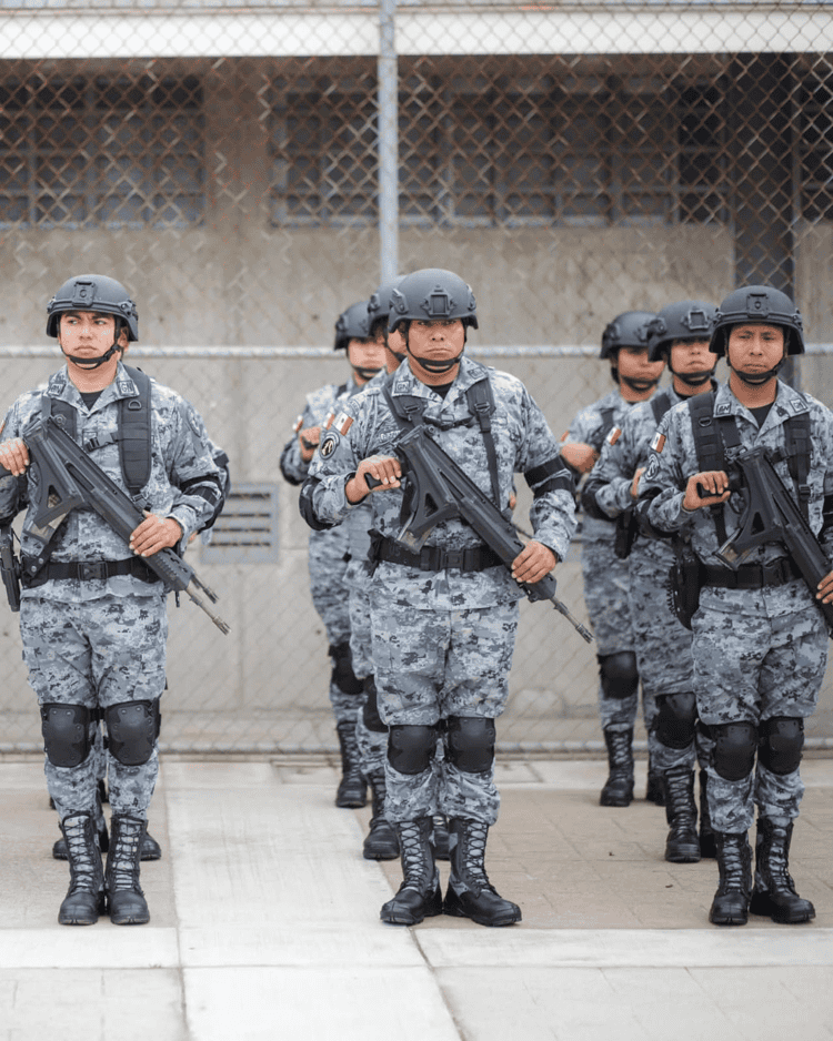 imagen-cuerpo imagen-cuerpo