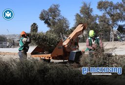 SAT endurece reglas del RESICO y obliga a activar e.firma y Buz&oacute;n Tributario